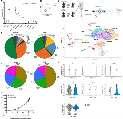 Flt3L therapy increases the abundance of Treg-promoting CCR7+ cDCs in preclinical cancer models